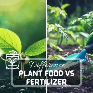 Soil and Fertilizers 6 Plant food vs Fertilizer