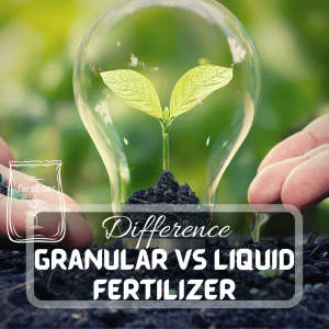 Lawn Care 4 Granular Vs Liquid Fertilizers for Plants