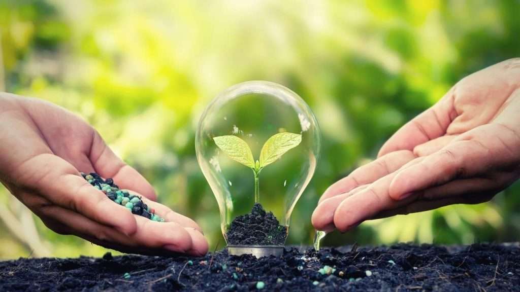 Granular Vs Liquid Fertilizers for Plants and Lawn. Which is better? 1 Granular Vs Liquid Fertilizers for Plants and Lawn