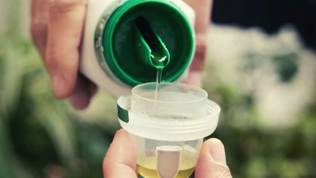 Granular Vs Liquid Fertilizers for Plants and Lawn. Which is better? 3 Granular Vs Liquid Fertilizers – Liquid Fertilizers for Plants and Lawn
