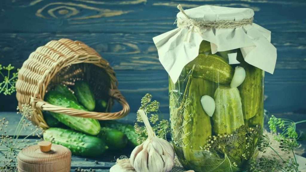 What To Do With Overgrown Cucumbers? 3 What To Do With Overgrown Cucumbers. Pickle Overgrown Cucumbers