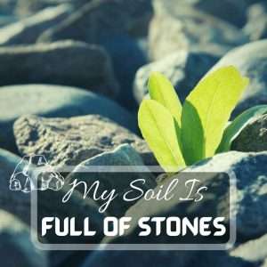 Lawn Care 9 My Soil Is Full Of Stones. How to Improve The Soil Quality Futured