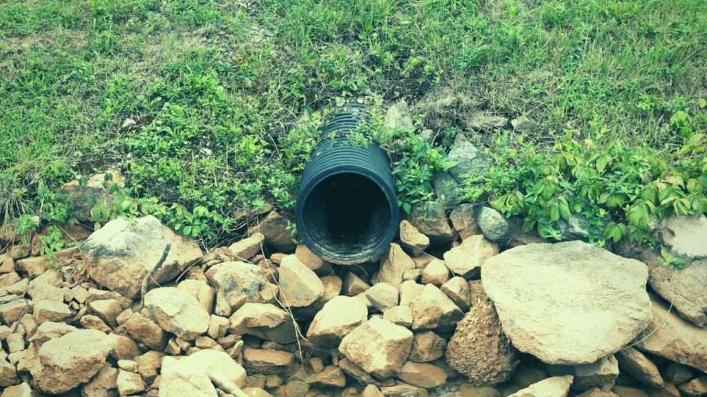 My Soil Is Full Of Stones! How to Improve The Soil Quality? 2 Soil Is Full Of Stones - Are Stones Good For Soil