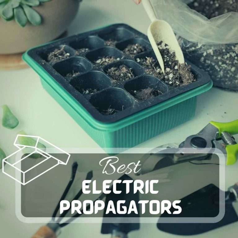 Electric Propagators