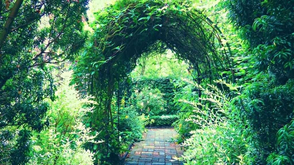 How To Make A Garden Arch Out Of PVC: 7 Simple Steps 8 How To Make A Garden Arch Out Of PVC Frequently Asked Questions