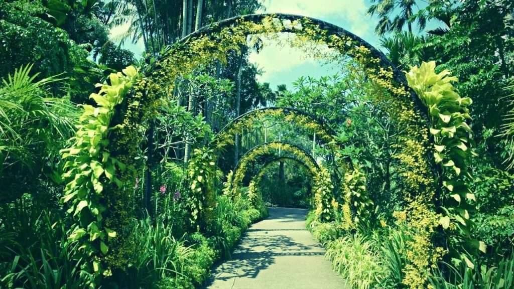 How To Make A Garden Arch Out Of PVC: 7 Simple Steps 1 How To Make A Garden Arch Out Of PVC