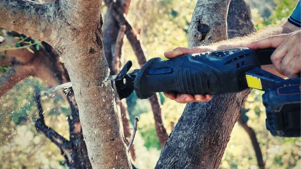 5 Best Cordless Garden Saws 16 Best Cordless Garden Saws Frequently Asked Questions