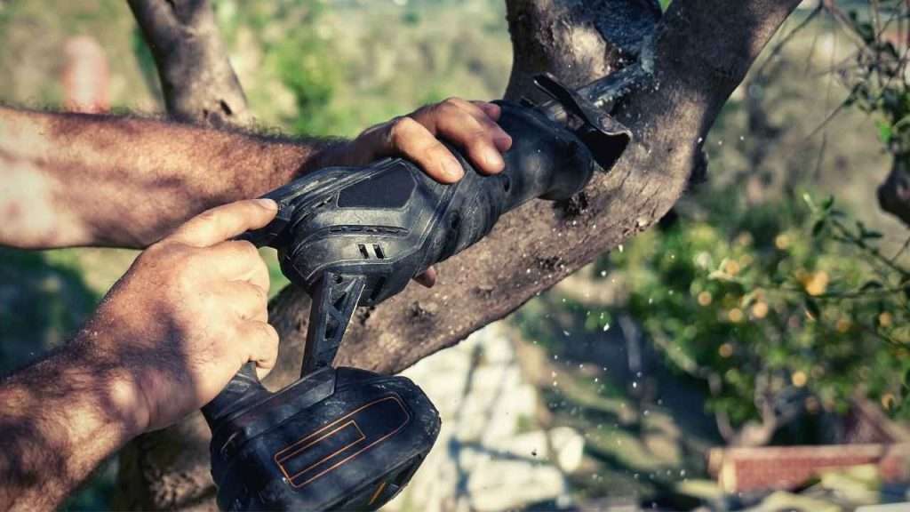 5 Best Cordless Garden Saws 1 Best Cordless Garden Saws Main