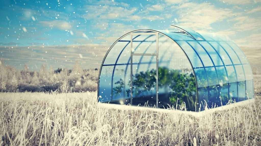 Top 7 Best Greenhouse Heaters For Optimal Plant Growth 22 Best Greenhouse Heaters Frequently Asked Questions