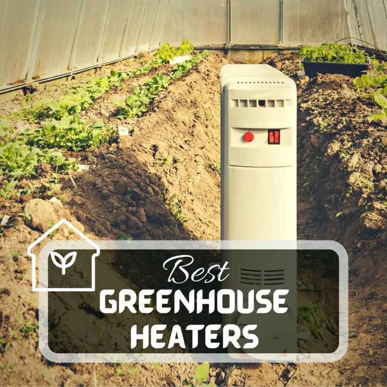 Best Greenhouse Heaters for Optimal Plant Growth