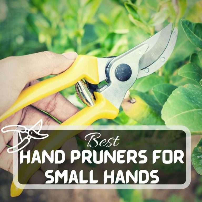Best Hand Pruners For Small Hands