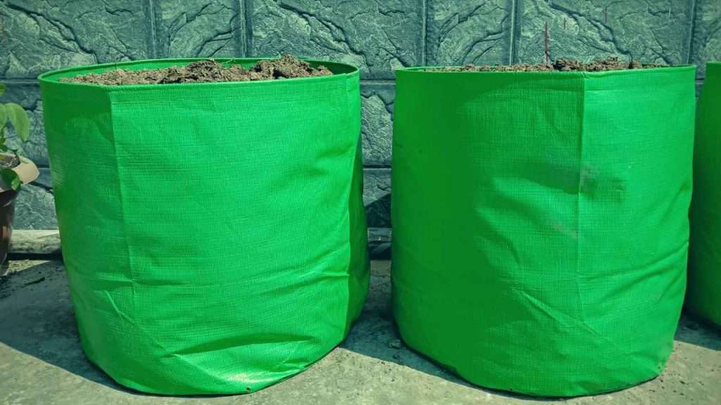 What Size Grow Bag For Tomatoes? Find The Perfect Fit For Your Tomato Plants! 2 How To Choose The Right Grow Bag For Tomato Plant?