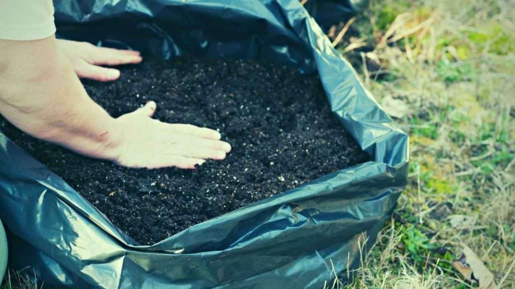 What Size Grow Bag For Tomatoes? Find The Perfect Fit For Your Tomato Plants! 16 What Are The Disadvantages Of Using Grow Bags For Tomatoes?
