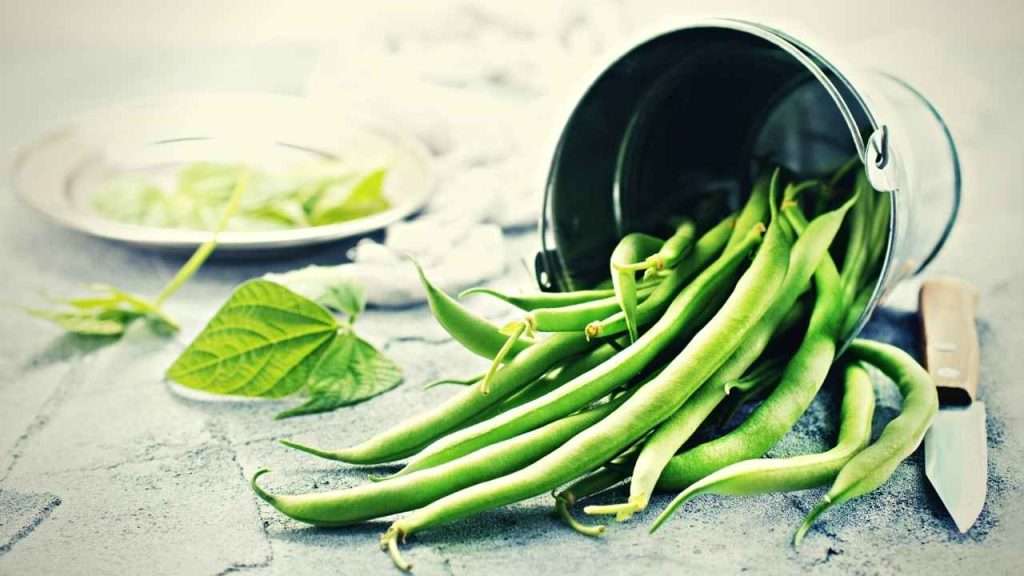 Are Green Beans Fruits Or Vegetables? 5 Are Green Beans Fruits Or Vegetables Frequently Asked Questions