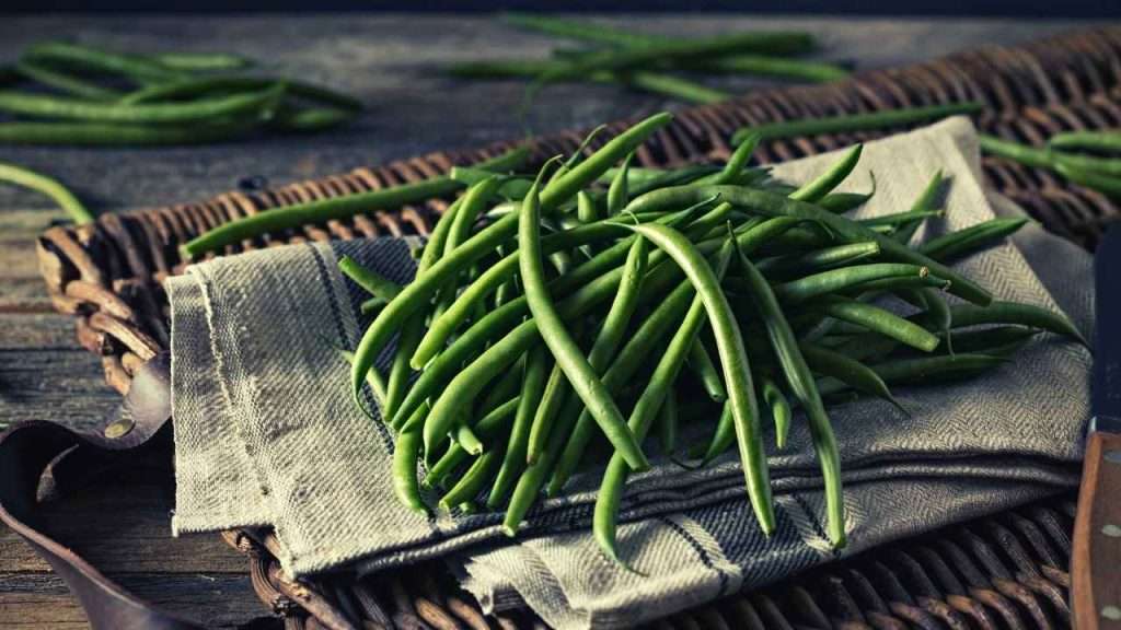 Are Green Beans Fruits Or Vegetables? 3 Classification Of Green Beans