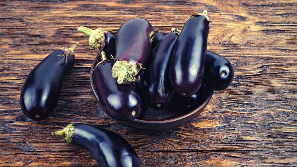 From Seed to Harvest: The 7 Eggplant Growing Stages 9 Eggplant Growing Stages - Storage