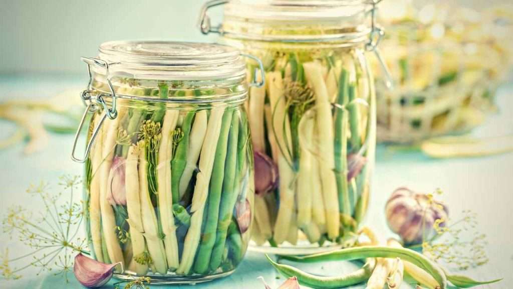 Green Bean Plant Stages - Storage