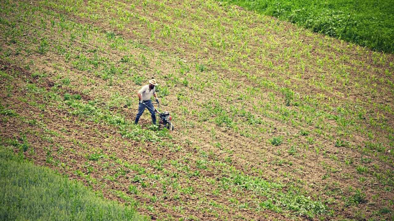 Best Tiller For Hard Soil | 2026 | Tackle Tough Ground With Confidence! 25 When Should You Use A Tiller?