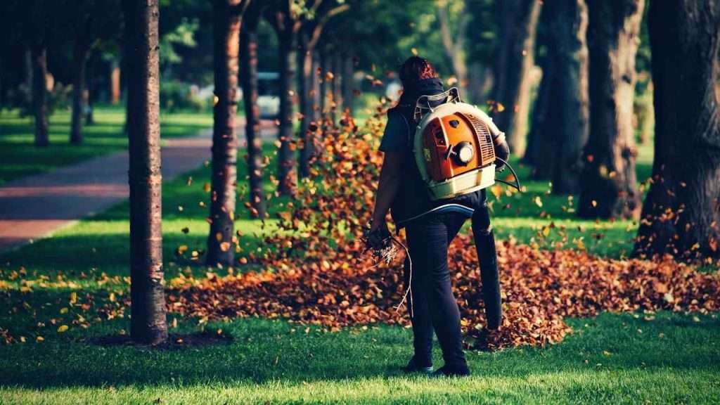 Best Leaf Blowers For Large Yards: 9 Top-Rated Options 1 Best Leaf Blowers For Large Yards