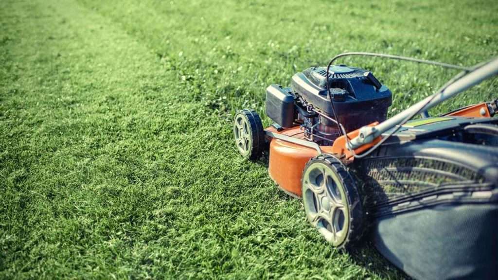 5 Best Lawn Mowers For Wet Grass 1 Best Lawn Mowers For Wet Grass