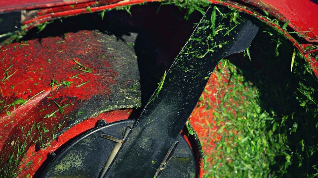 5 Best Lawn Mowers For Wet Grass 19 Does Mowing Wet Grass Dull The Blade?