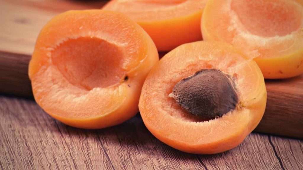 Fruits With A Pit - Apricot