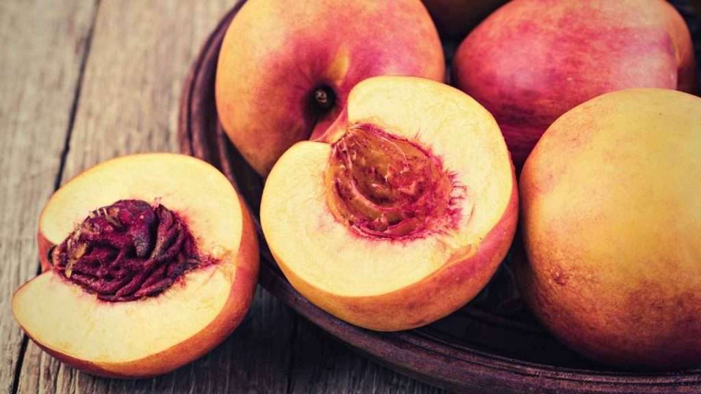 Fruits With A Pit - Nectarine