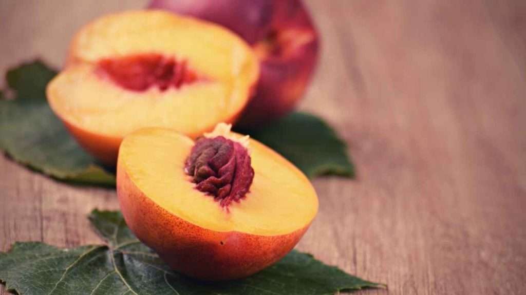 Fruits With A Pit - Peach