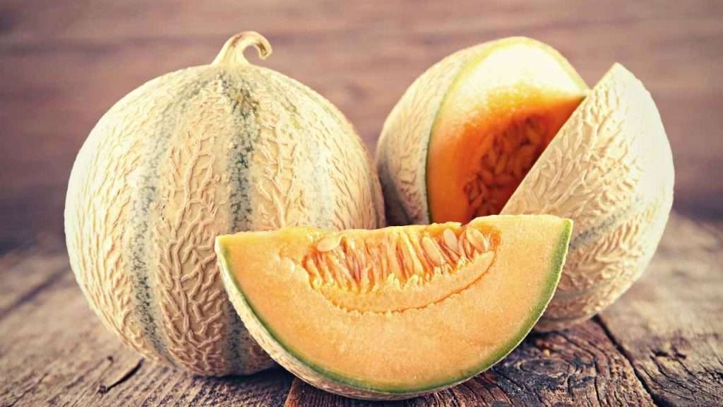 Fruits With Seeds - Melons