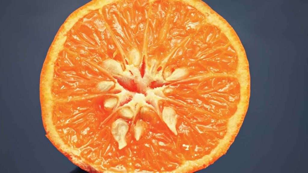 Fruits With Seeds - Oranges