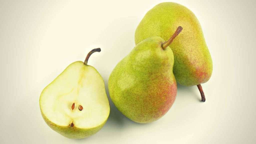 Fruits With Seeds - Pears