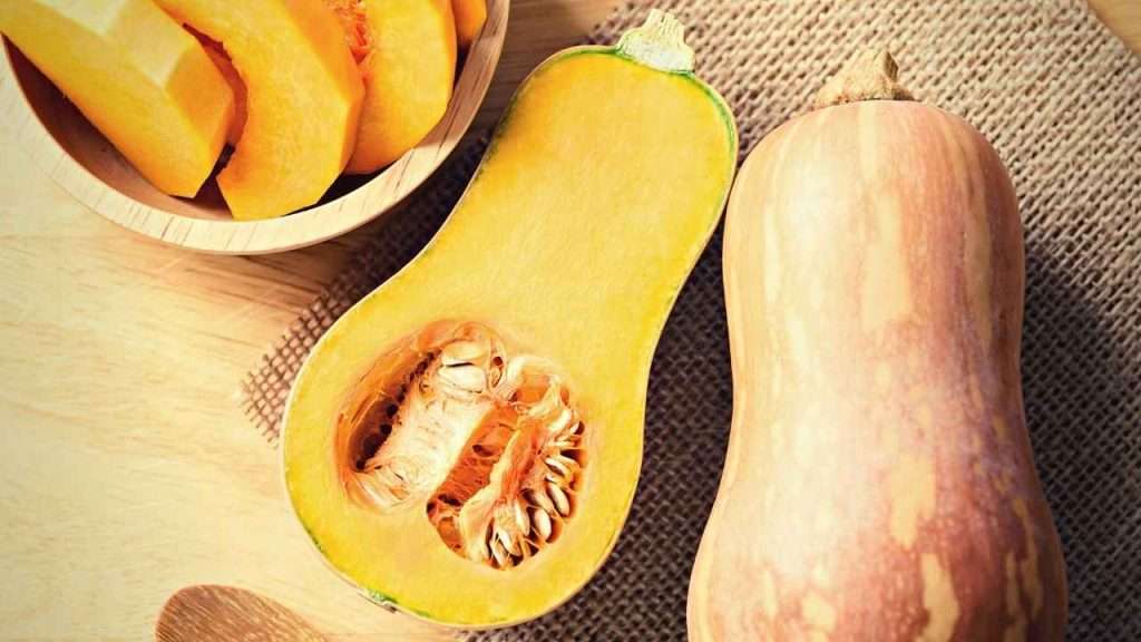 Fruits With Seeds - Squash