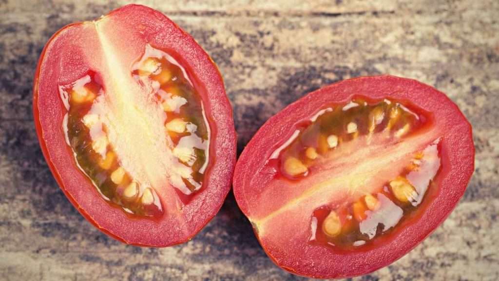Fruits With Seeds - Tomatoes