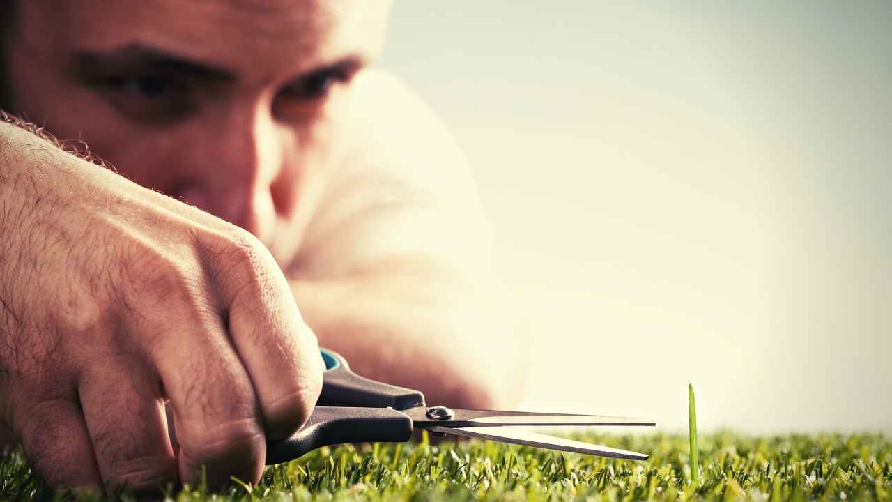 5 Best Lawn Mowers For Wet Grass 20 Is It Possible To Get An Even Cut When Mowing Wet Grass?