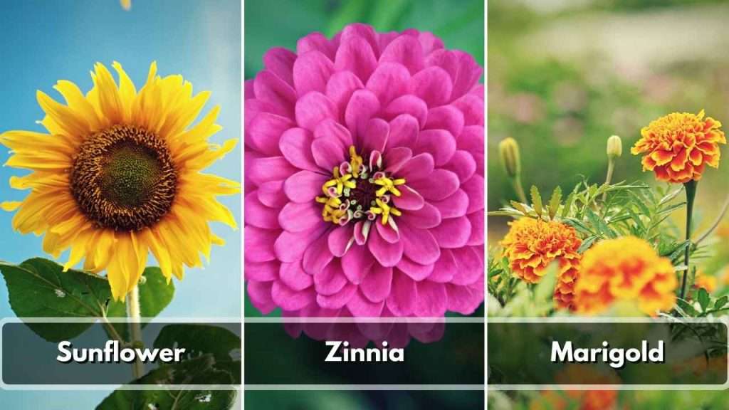 Bring In Flowers To Replace Weeds