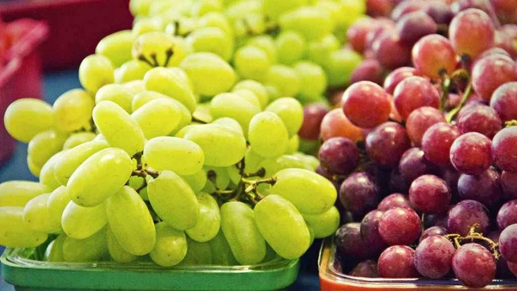 Seedless Fruits - Grapes