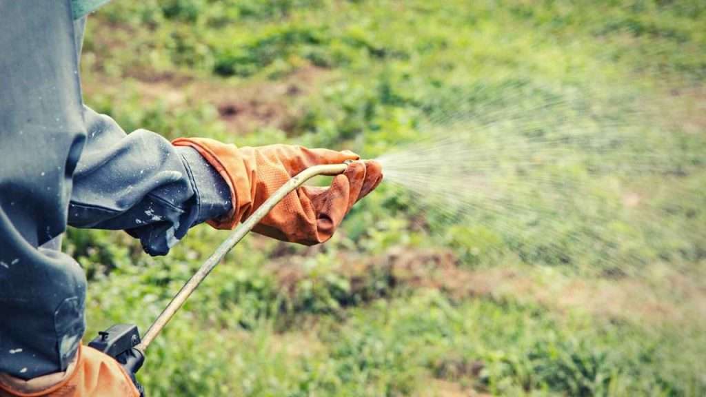Apply Herbicides For Weed Control