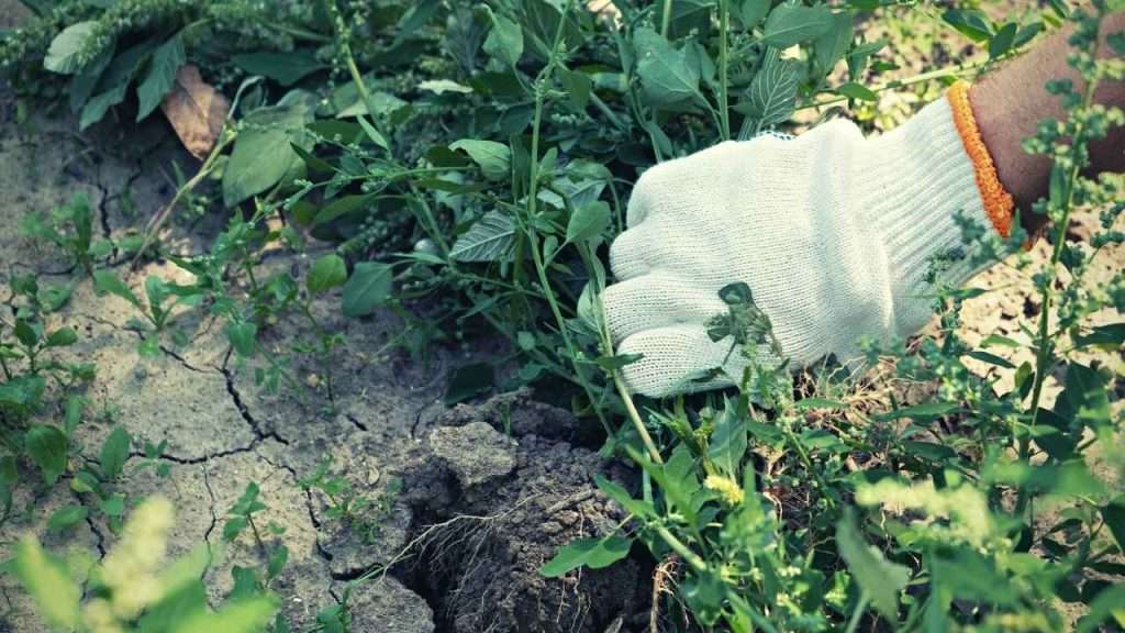 Protect Your Hands With Gloves