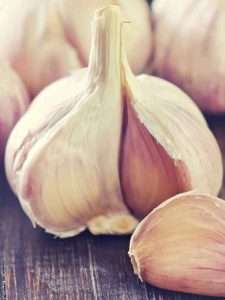 Understanding Garlic Growth Stages