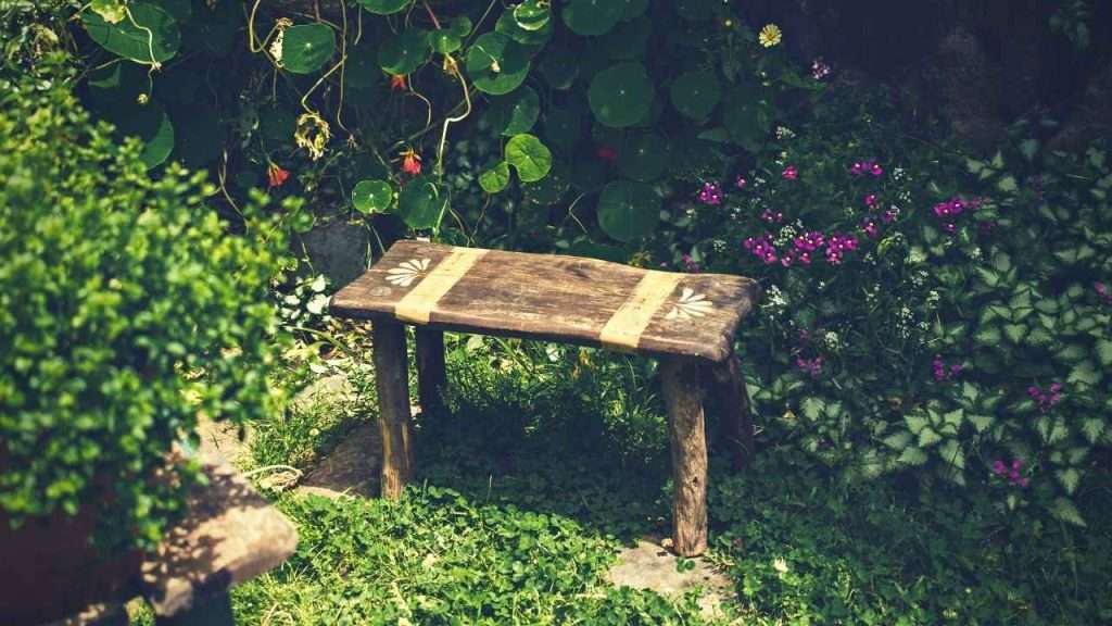 10 Best Gardening Stools For Seniors 1 Best Gardening Stools For Seniors