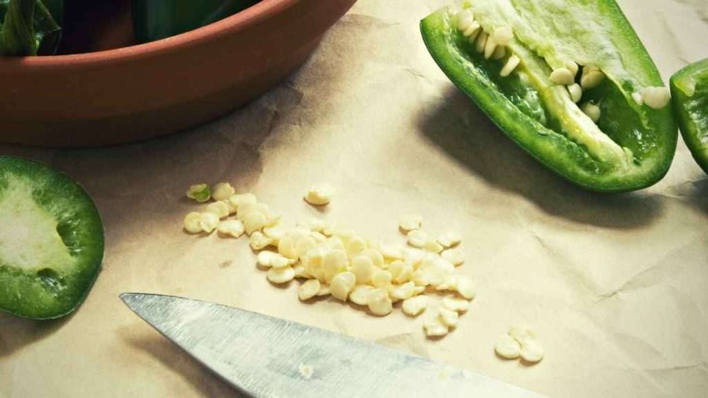 7 Jalapeno Growth Stages 2 Jalapeno Growth Stages - Seed Sowing