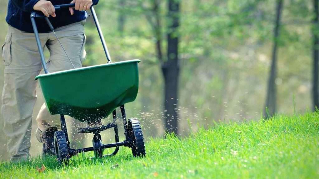Growing Grass In Clay Soil 18 Fertilize Your Lawn At The Right Times And Rates