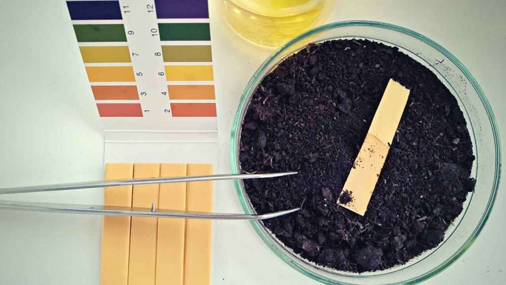 Growing Grass In Clay Soil 9 Growing Grass In Clay Soil - Check the Soil's pH