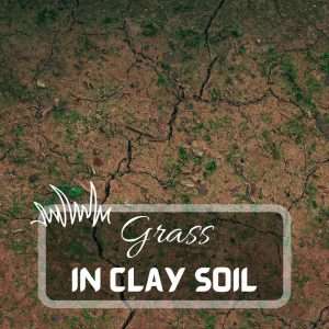Lawn Care 8 Growing Grass In Clay Soil