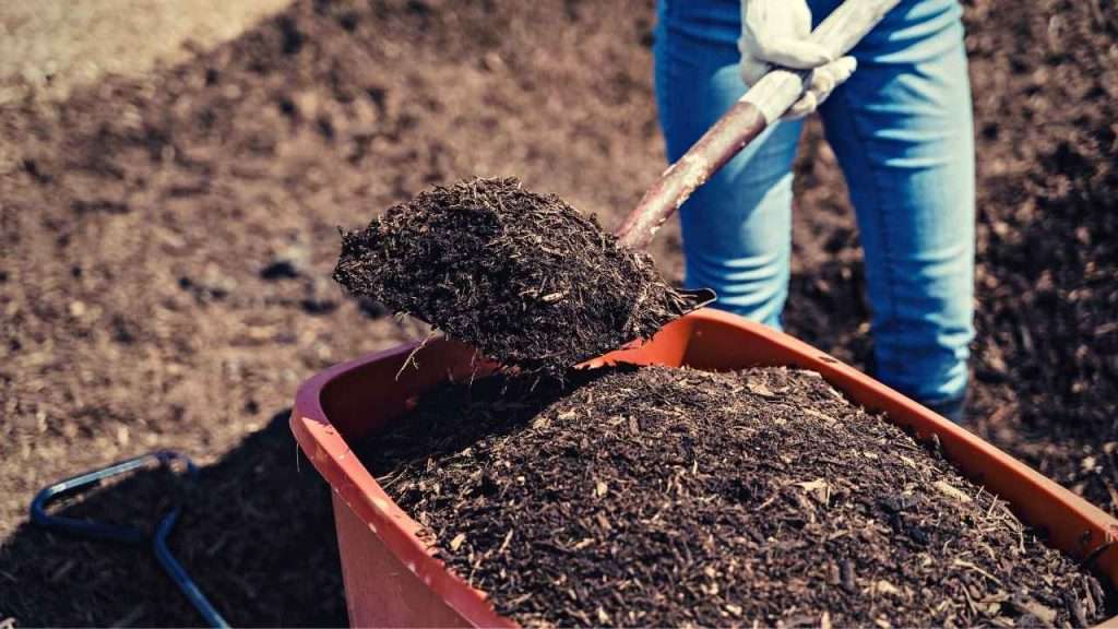 Growing Grass In Clay Soil 5 Improve The Soil - Add Organic Matter