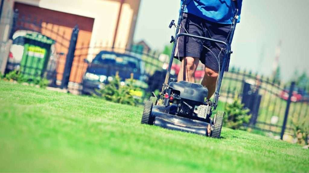 Growing Grass In Clay Soil 16 Mow Your Lawn Regularly And Correctly
