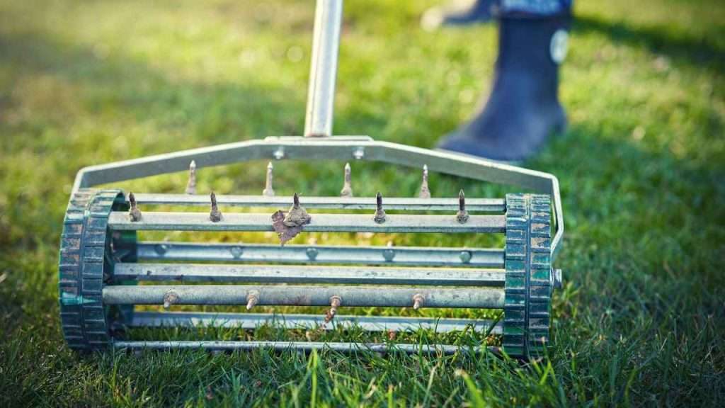 Growing Grass In Clay Soil 19 Regularly Aerate Your Lawn