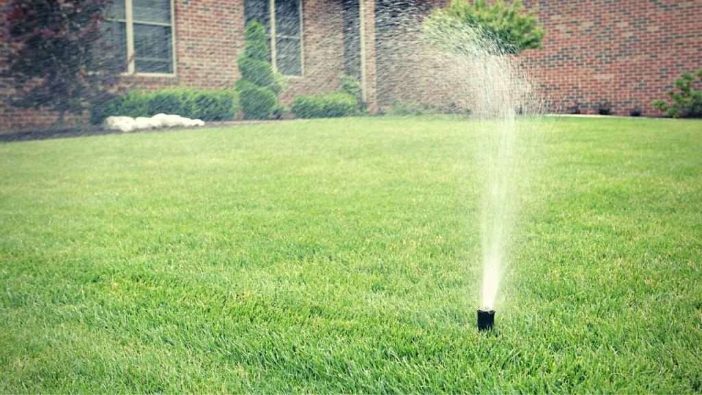 Growing Grass In Clay Soil 17 Water Your Lawn Deeply And Infrequently