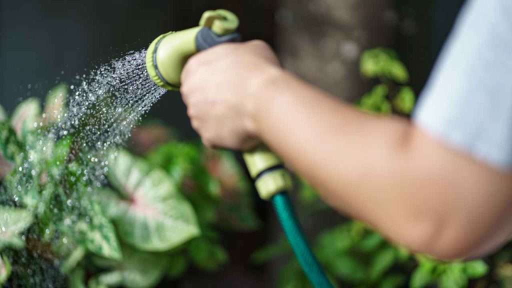 How to Choose a Garden Hose for Low Water Pressure 13 Real Tips to Get the Most from Your Expandable Hose