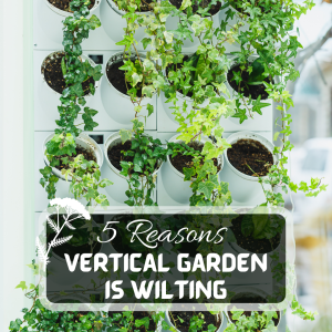 5 Reasons Your Vertical Garden Is Wilting